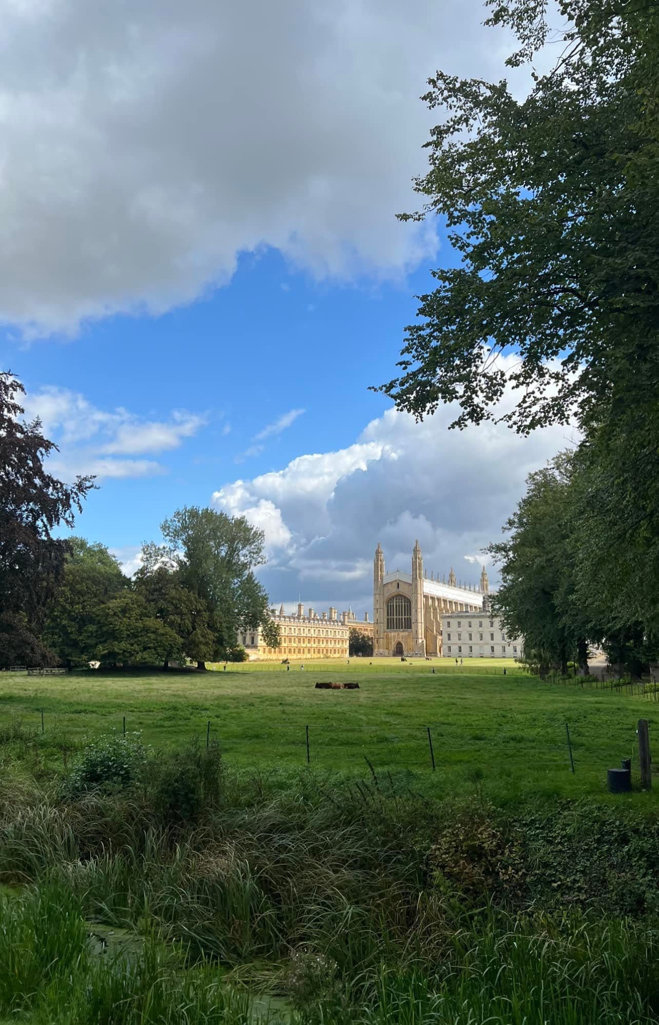 Đại học Cambridge  05:05am of 31 Aug 23