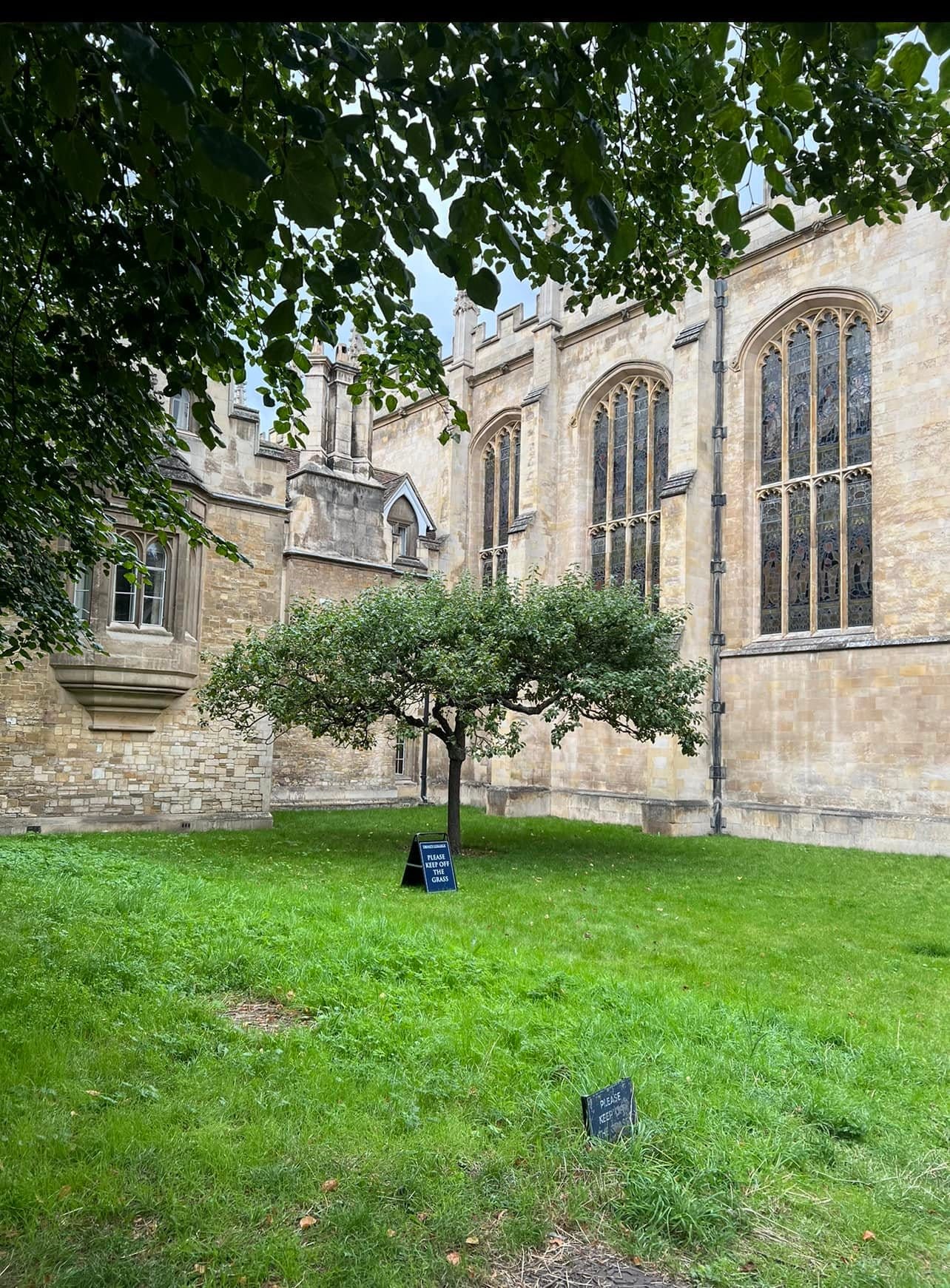 Đại học Cambridge  05:05am of 31 Aug 23