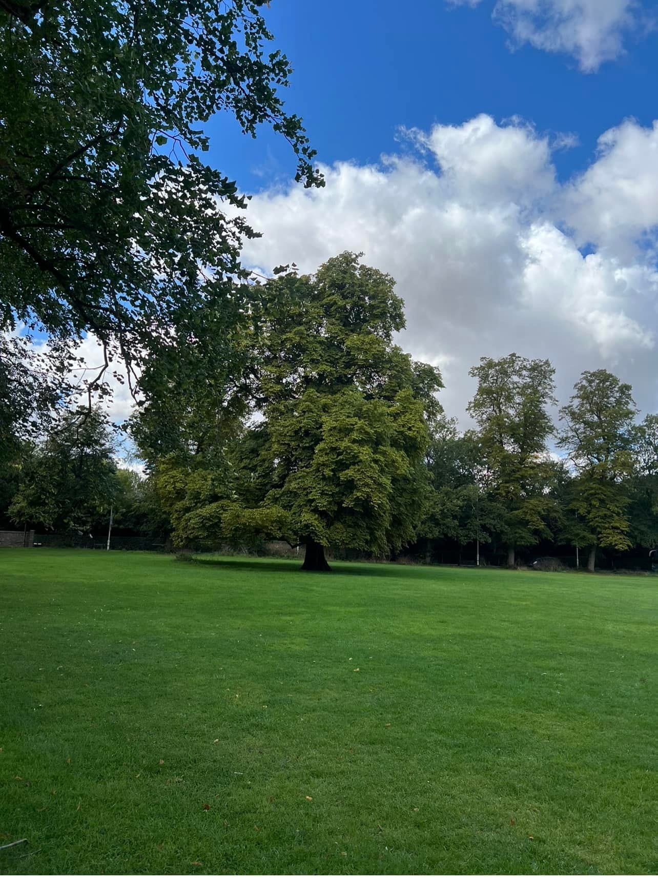 Đại học Cambridge  05:05am of 31 Aug 23