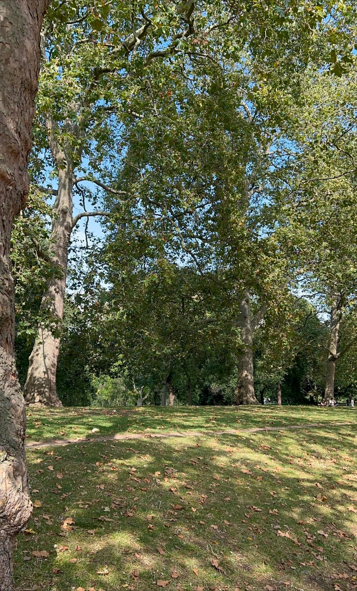 Anh Quốc 06:06am of 06.9.23