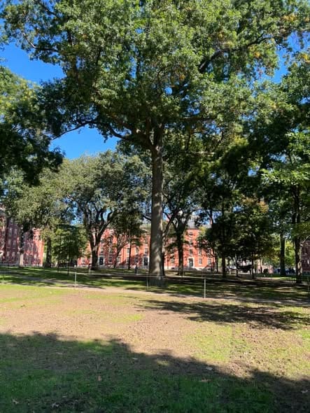 Harvard, MIT Boston, Massachusetts 06:00pm of 04 Oct 2023