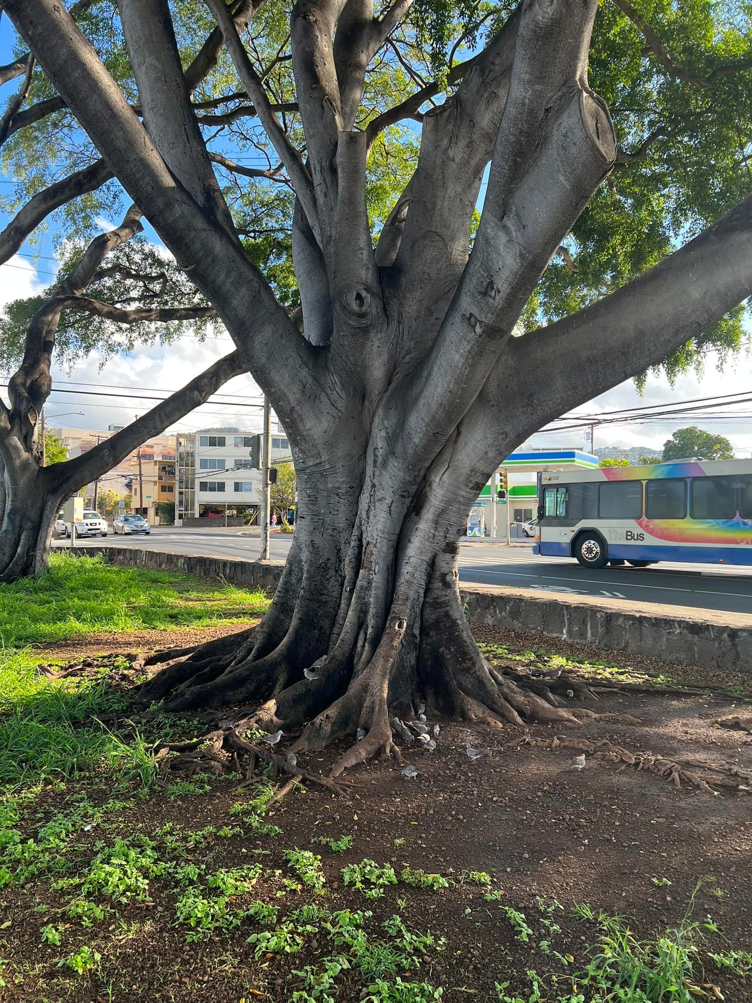 Honolulu, Hawaii 06:00pm of 06 Oct 23
